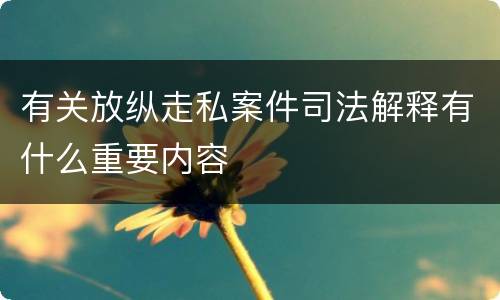 有关放纵走私案件司法解释有什么重要内容