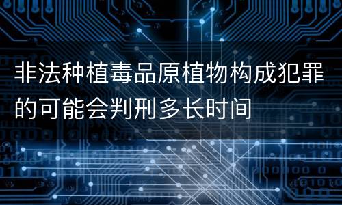 非法种植毒品原植物构成犯罪的可能会判刑多长时间