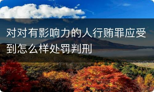 对对有影响力的人行贿罪应受到怎么样处罚判刑