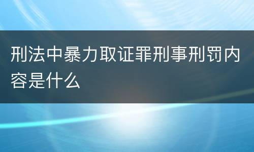 刑法中暴力取证罪刑事刑罚内容是什么