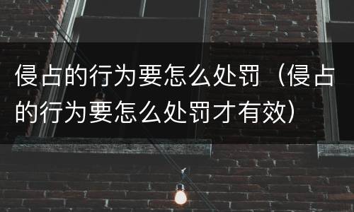 侵占的行为要怎么处罚（侵占的行为要怎么处罚才有效）