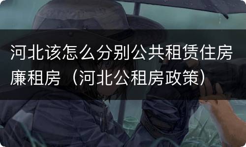河北该怎么分别公共租赁住房廉租房（河北公租房政策）