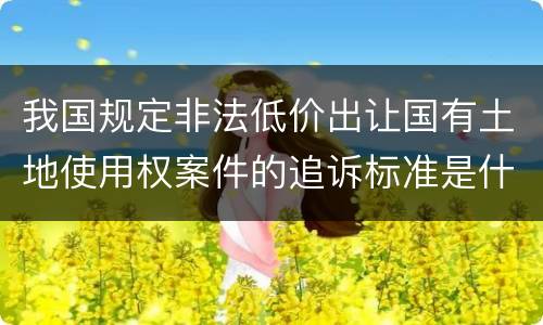我国规定非法低价出让国有土地使用权案件的追诉标准是什么
