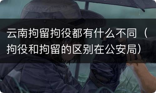 云南拘留拘役都有什么不同（拘役和拘留的区别在公安局）