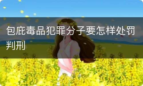 包庇毒品犯罪分子要怎样处罚判刑