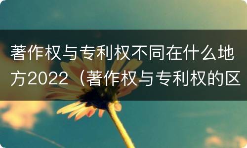 著作权与专利权不同在什么地方2022（著作权与专利权的区别）