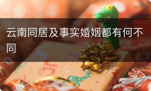 云南同居及事实婚姻都有何不同