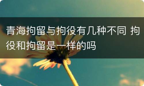 青海拘留与拘役有几种不同 拘役和拘留是一样的吗