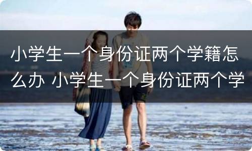 小学生一个身份证两个学籍怎么办 小学生一个身份证两个学籍怎么办理