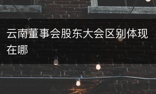 云南董事会股东大会区别体现在哪