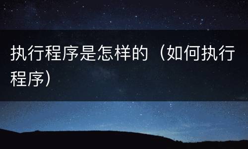 执行程序是怎样的（如何执行程序）