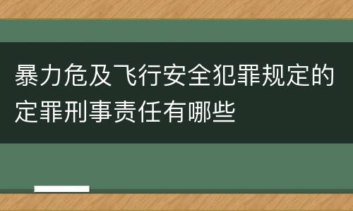 暴力危及飞行安全犯罪规定的定罪刑事责任有哪些