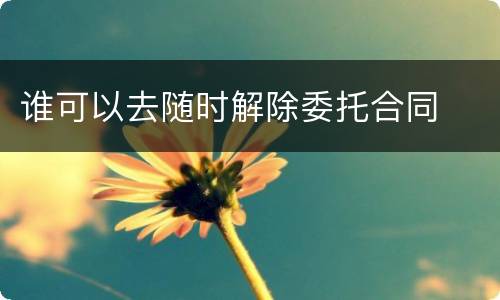谁可以去随时解除委托合同