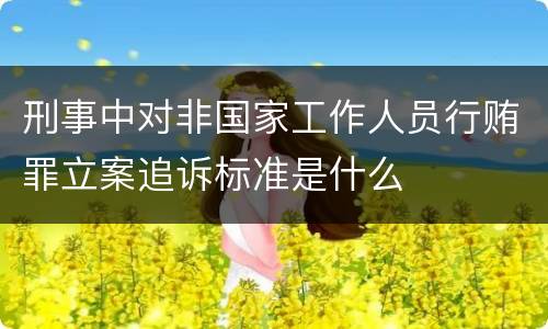 刑事中对非国家工作人员行贿罪立案追诉标准是什么