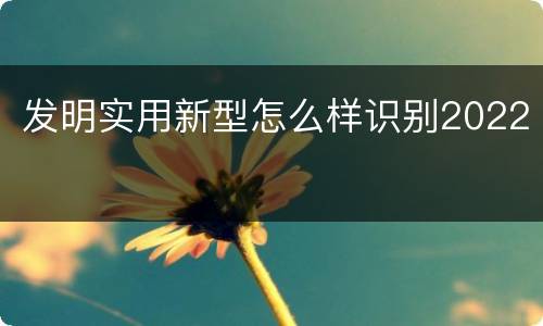 发明实用新型怎么样识别2022