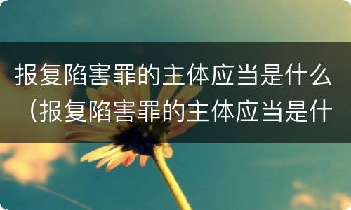报复陷害罪的主体应当是什么（报复陷害罪的主体应当是什么行政机关）