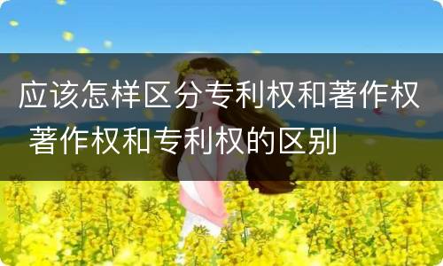 应该怎样区分专利权和著作权 著作权和专利权的区别