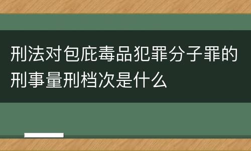 刑法对包庇毒品犯罪分子罪的刑事量刑档次是什么