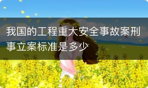 我国的工程重大安全事故案刑事立案标准是多少