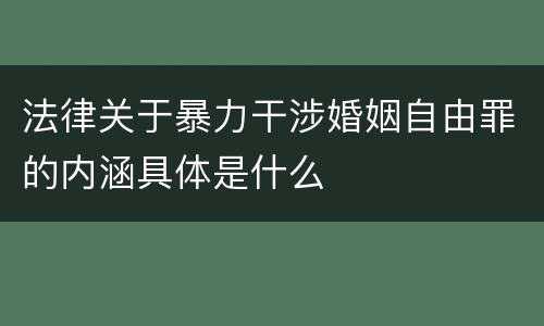 法律关于暴力干涉婚姻自由罪的内涵具体是什么