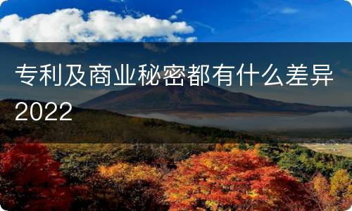 专利及商业秘密都有什么差异2022
