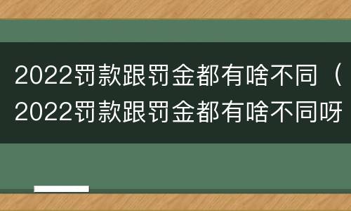 2022罚款跟罚金都有啥不同（2022罚款跟罚金都有啥不同呀）