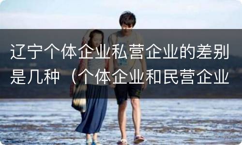 辽宁个体企业私营企业的差别是几种（个体企业和民营企业的区别）