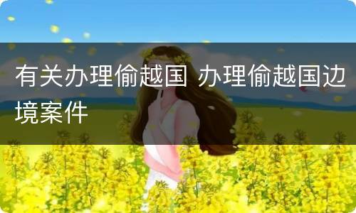 有关办理偷越国 办理偷越国边境案件