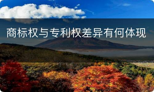 商标权与专利权差异有何体现