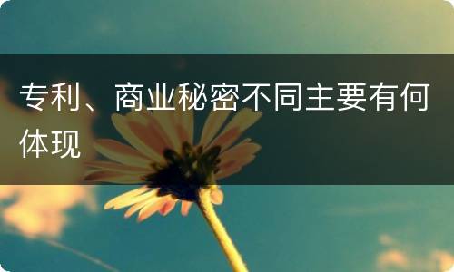 专利、商业秘密不同主要有何体现