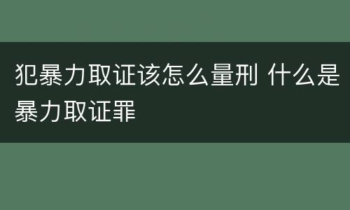 犯暴力取证该怎么量刑 什么是暴力取证罪
