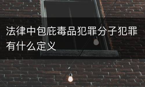 法律中包庇毒品犯罪分子犯罪有什么定义