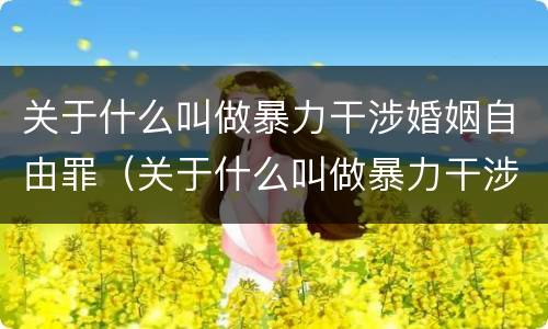 关于什么叫做暴力干涉婚姻自由罪（关于什么叫做暴力干涉婚姻自由罪的案例）