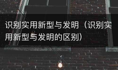 识别实用新型与发明（识别实用新型与发明的区别）