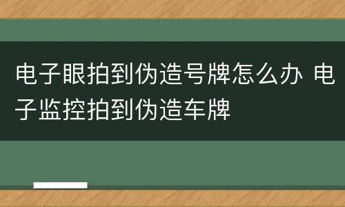 电子眼拍到伪造号牌怎么办 电子监控拍到伪造车牌