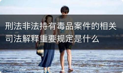刑法非法持有毒品案件的相关司法解释重要规定是什么