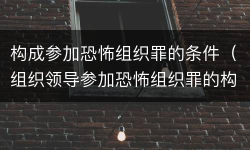 构成参加恐怖组织罪的条件（组织领导参加恐怖组织罪的构成要件）