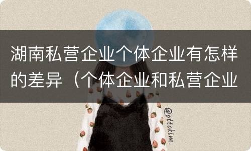 湖南私营企业个体企业有怎样的差异（个体企业和私营企业）