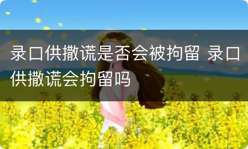 录口供撒谎是否会被拘留 录口供撒谎会拘留吗