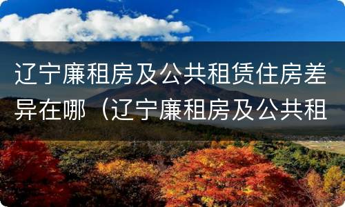 辽宁廉租房及公共租赁住房差异在哪（辽宁廉租房及公共租赁住房差异在哪查询）