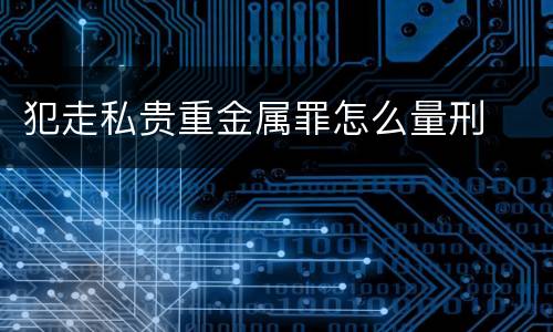 犯走私贵重金属罪怎么量刑