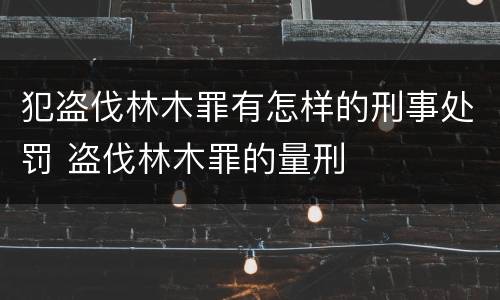 犯盗伐林木罪有怎样的刑事处罚 盗伐林木罪的量刑