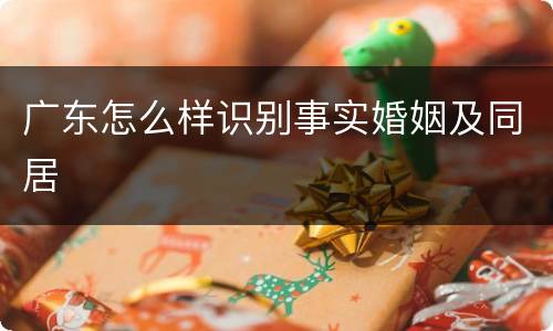 广东怎么样识别事实婚姻及同居