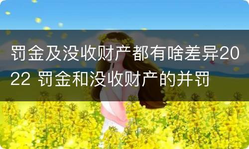 罚金及没收财产都有啥差异2022 罚金和没收财产的并罚