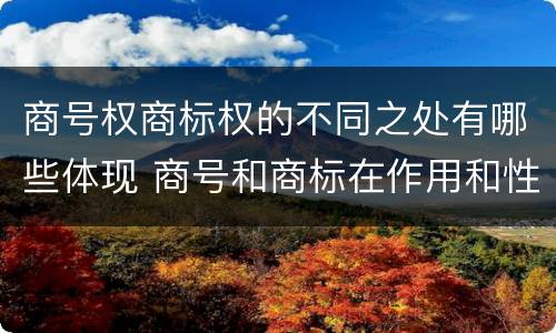 商号权商标权的不同之处有哪些体现 商号和商标在作用和性质上的区别