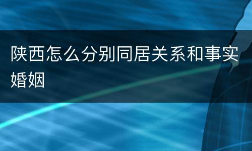 陕西怎么分别同居关系和事实婚姻
