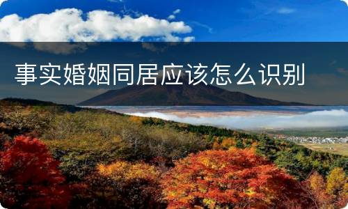事实婚姻同居应该怎么识别