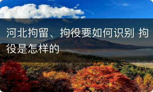 河北拘留、拘役要如何识别 拘役是怎样的