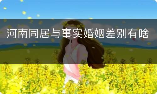 河南同居与事实婚姻差别有啥