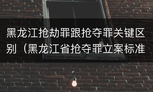黑龙江抢劫罪跟抢夺罪关键区别（黑龙江省抢夺罪立案标准）